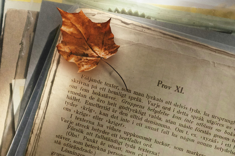 Ett höstlöv ovanpå en hög med gulnat papper.